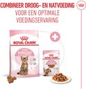 Verpakking van Royal Canin Kitten Sterilised 6-12 maanden droogvoer en zakje natvoer. Een kitten zit op de verpakking. Drie stervormige brokken liggen ernaast.