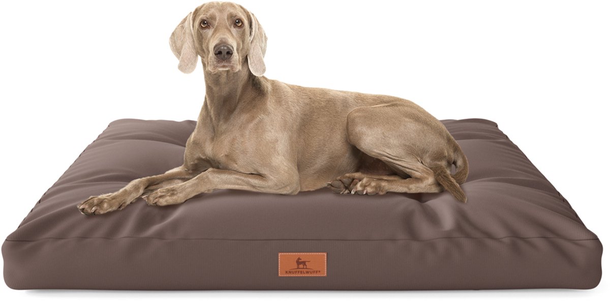 Knuffelwuff hondenkussen Gatsby van Oxford-stof 65x90 cm bruin