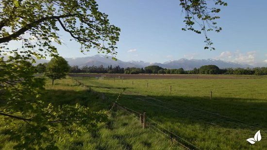 Graszaad weidemengsel voor 1250 mÂ² weide | TUIN (OVERIG) | Wij helpen je kiezen