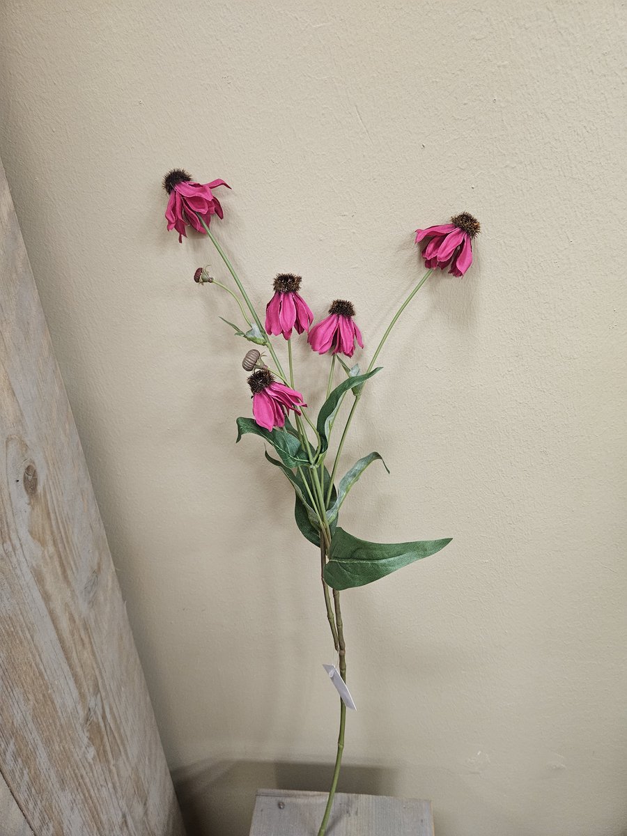 Kunstbloem - Bloem - Echinea Bloeiend Cerise - L65cm