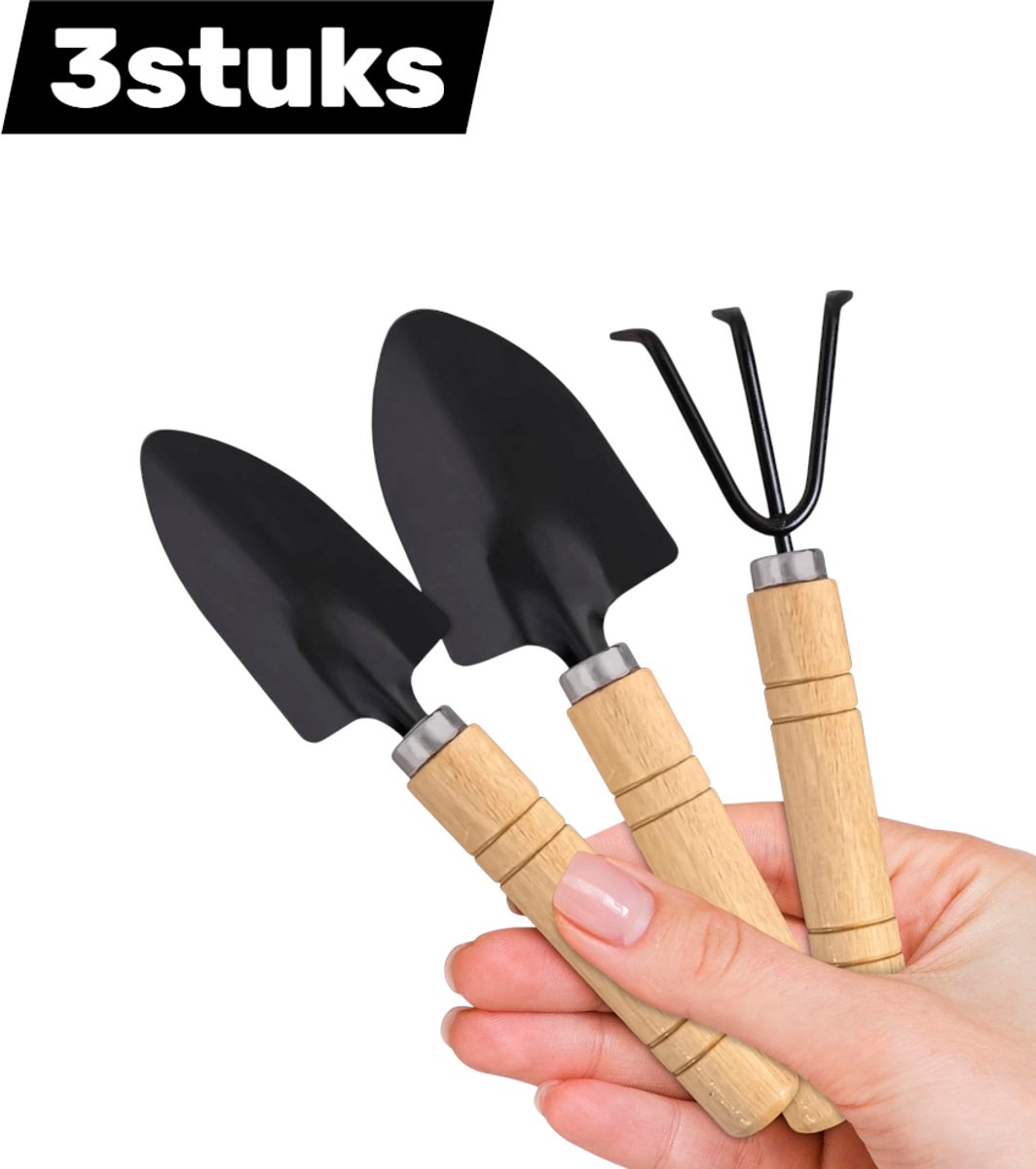 3stuks - Klein tuingereedschap - Mini tuingereedschapset - Inclusief een kleine schep, mini spade en handhark - Gemaakt van roestbestendig ijzer en massief hout - Geschikt voor tuinieren binnenshuis - Geschikt voor vetplanten, bonsai - Zwart
