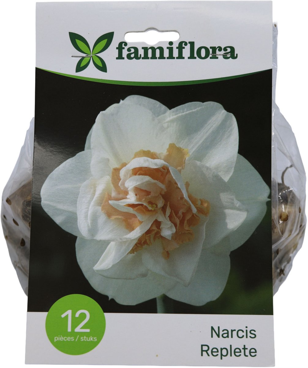 Famiflora Narcis Replete - Voorjaarsbloeiers - 12 bloembollen - Weelderige bloei voor een luxe uitstraling in de tuin - Geeft een gevoel van elegantie en pracht waardoor je tuin opvalt