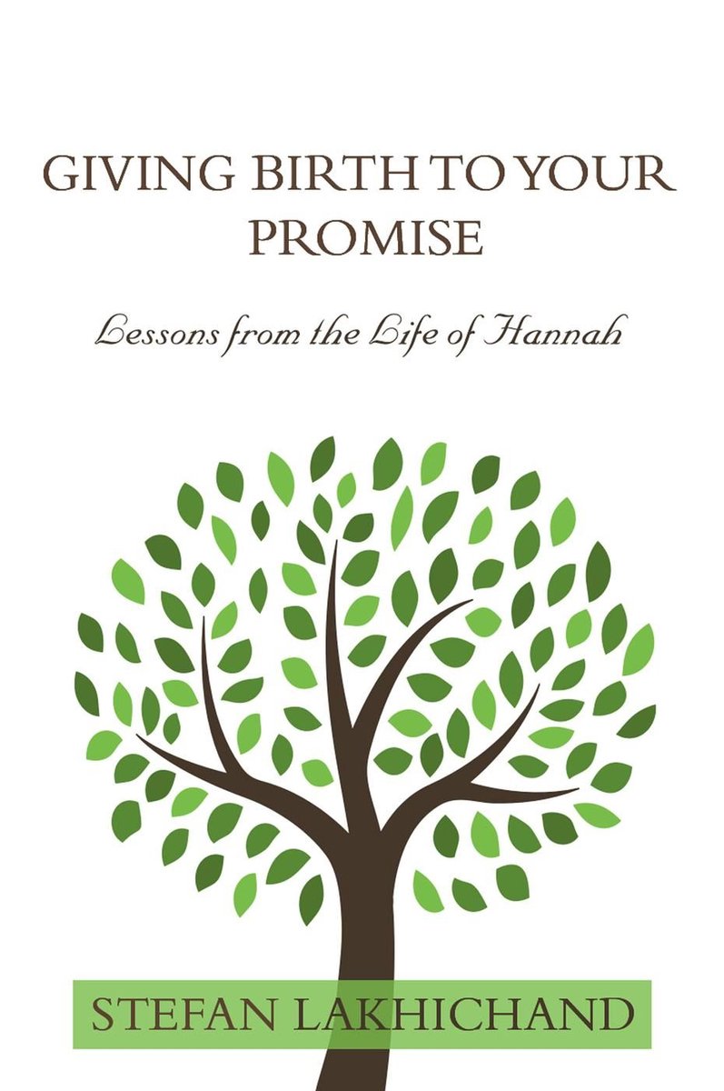 Giving Birth to your Promise — E-book