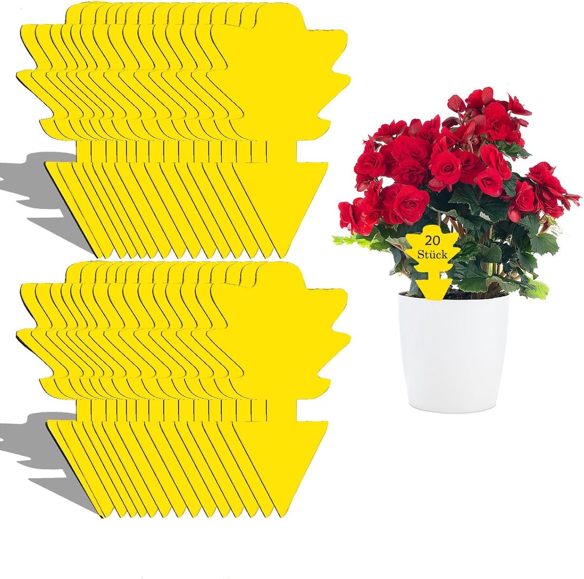 20 x gele stickers tegen schimmelmuggen - effectief tegen fruitvliegen - schimmelmuggen - en andere insecten - geschikt voor kamerplanten - dubbelzijdig kleef - waterdicht - gele borden