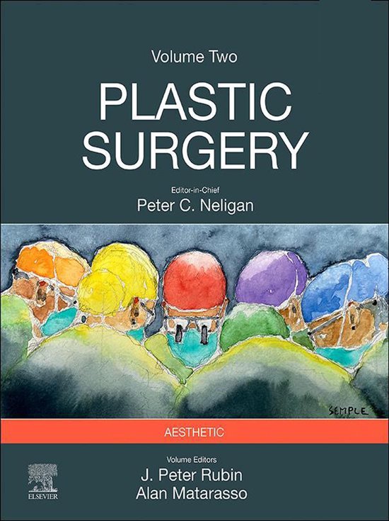 Plastic Surgery - E-Book - cover