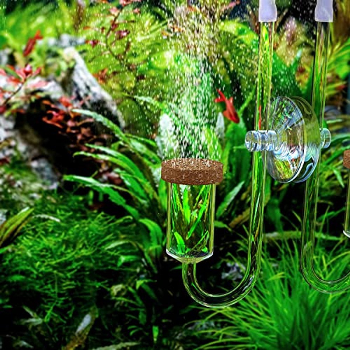 CO2 Diffuser 17 mm voor Aquariums | Keramische Schijf voor Fijne Bellen | Universeel Geschikt voor CO2 Systemen