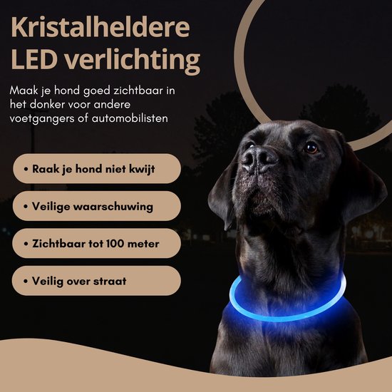 Collier pour chien LED lumineux - Siècle des Lumières de laisse pour chien rechargeable - Colliers d'éclairage pour chien lumineux - Taille unique - Rose