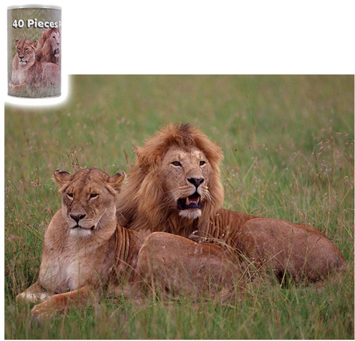 PIA Soft Toys - Leeuw Puzzel in blik - dierenpuzzel - 40 stuks