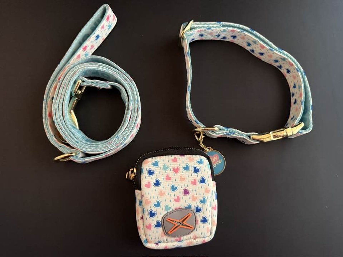 Halsband set 4-delig voor hond – witte hondenhalsband met gekleurde hartjes - L - halsomvang 38-63 cm - breedte 2,5 cm - metalen goudkleurige accessoires - dubbelzijdig bedrukt - halsband, riem, bijpassende sleutelhanger en poepzakjeshouder