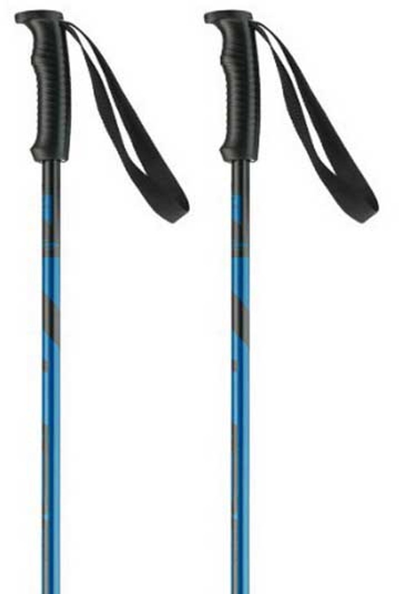 Elan Hotrod Stokken Zilver 110 cm