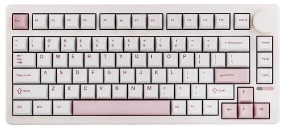 Draadloos Mechanisch Gaming Toetsenbord 75% - 81 Toetsen met RGB LED, Hot-Swappable Keycaps, en Duurzame Batterij