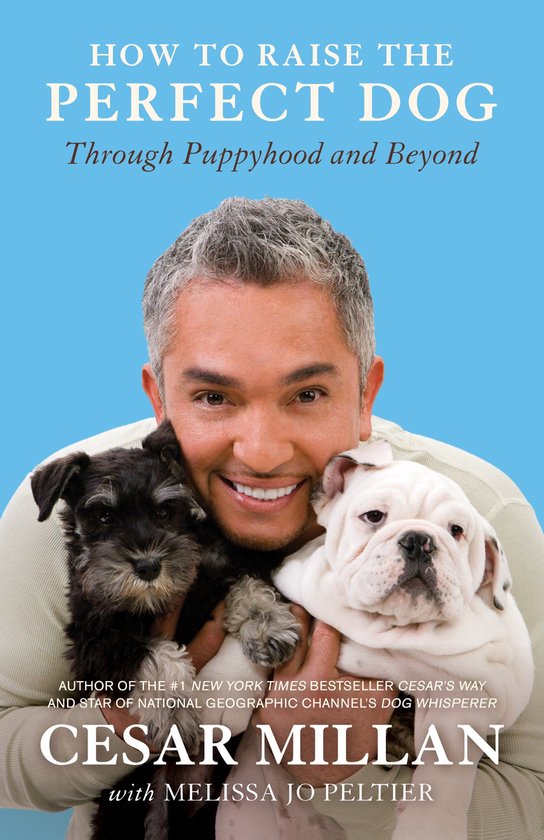 How To Raise The Perfect Dog - cover