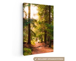 Canvas schilderij 90×140 cm – Wanddecoratie Bos – Pad – Bomen – Groen – Zon – Natuur – Muurdecoratie woonkamer – Slaapkamer decoratie – Kamer accessoires – Schilderijen op canvas Canvas schilderij 90×140 cm – Wanddecoratie Bos – Pad – Bomen – Groen – Zon – Natuur – Muurdecoratie woonkamer – Slaapkamer decoratie – Kamer accessoires – Schilderijen op canvas