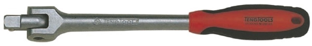 Teng Tools Momentsleutel 3/8" 19-110 Nm met Hoekverstelling