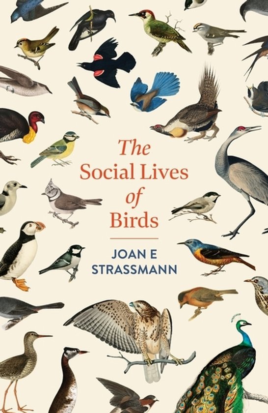 The Social Lives Of Birds - cover