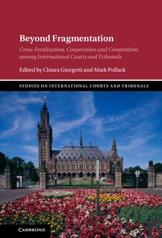 Studies on International Courts and Tribunals - Beyond Fragm ... - cover