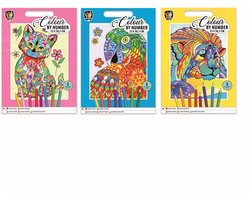 Kleuren Op Nummer - Hobby & Creatief - Kleurboeken - Tekenen & Kleuren - Doeboeken - Knutselen Voor Kinderen - Speelgoed