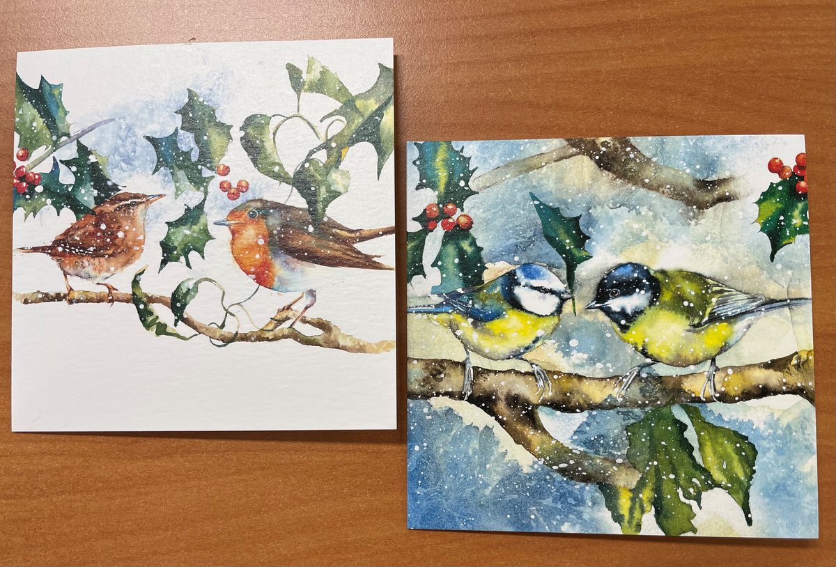 Glebe Cottage The Eco-Friendly Card Company Notecard ~ Kaartenmapje Kerst Rachel Toll Vogels