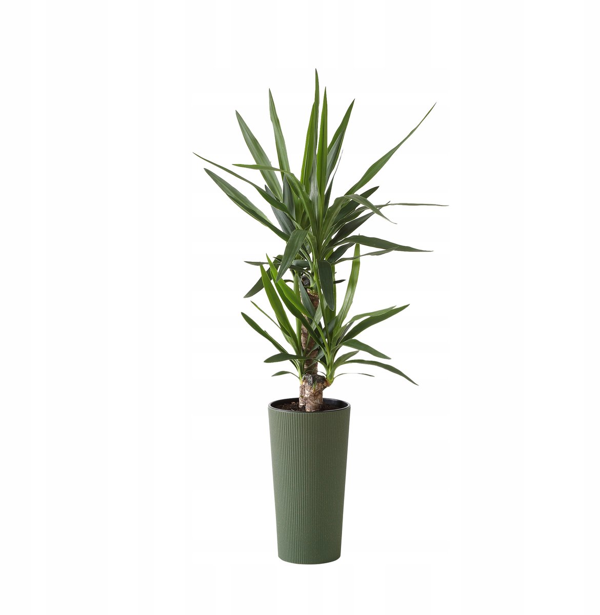 Lilia ECO JUMPER Pot 30cm Hoog 57cm - Gerecycled materiaal