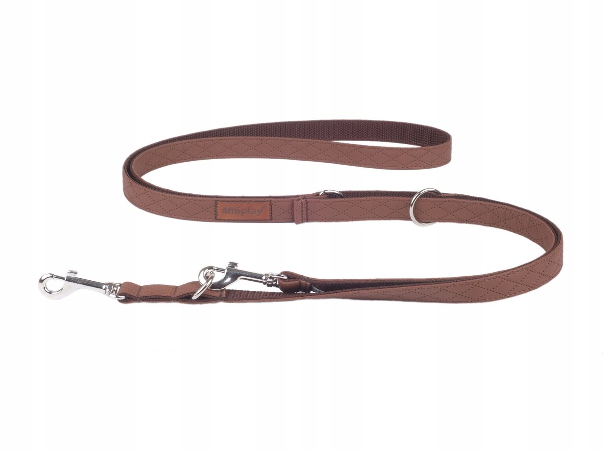 Verstelbare Cambridge XL Hondenhalsband - Bruin