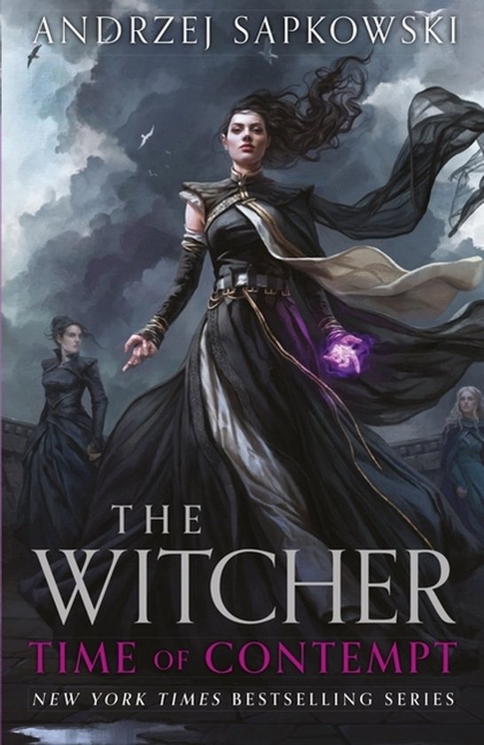 The Witcher- Time of Contempt - cover
