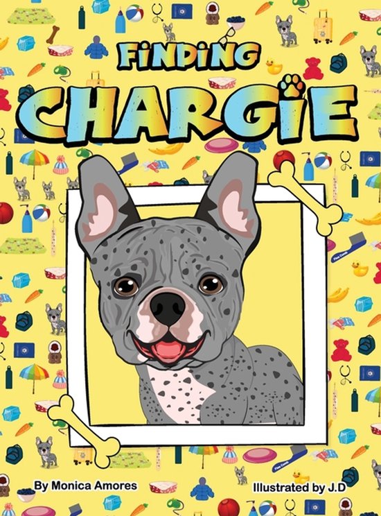 Finding Chargie