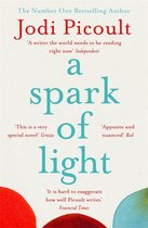 Boek "A Spark of Light" van Jodi Picoult, met rode en blauwe cirkels op de voorkant.