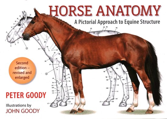 Horse Anatomy - cover