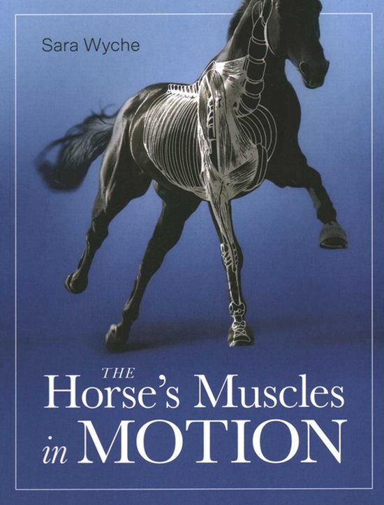 Horse's Muscles in Motion - cover