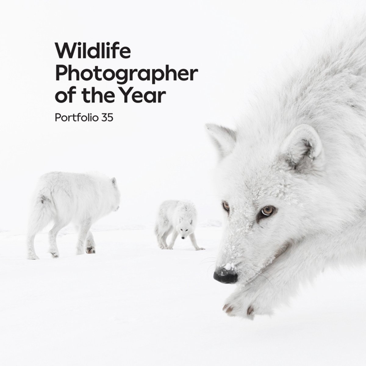 Omslag van Wildlife Photographer Of The Year: Portfolio 35