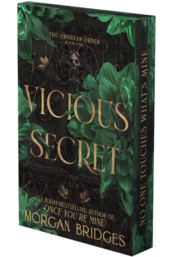 Obsidian Order- Vicious Secret - cover