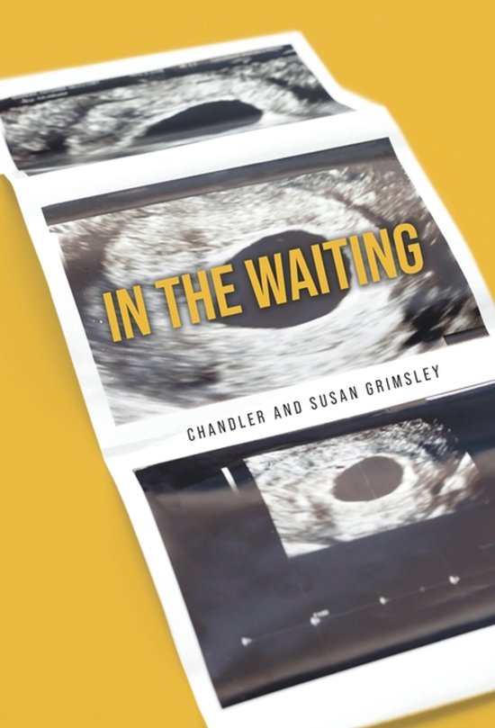 In The Waiting - cover