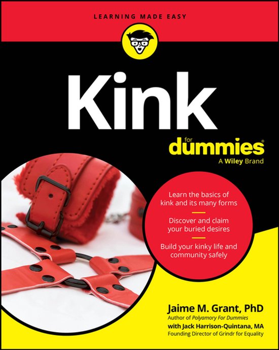 Kink For Dummies - cover