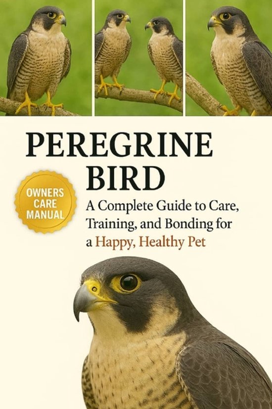Peregrine Bird