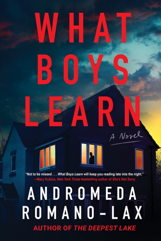 Boekomslag van "What Boys Learn" met de titel in rode letters op een donker huis met verlichte ramen.