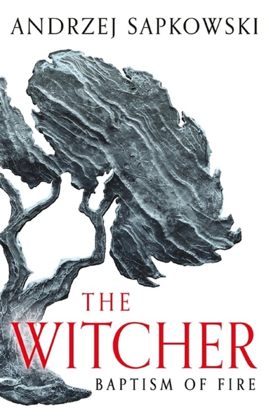 The Witcher- Baptism of Fire - cover