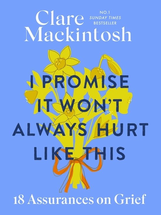 I Promise It Won't Always Hurt Like This - cover