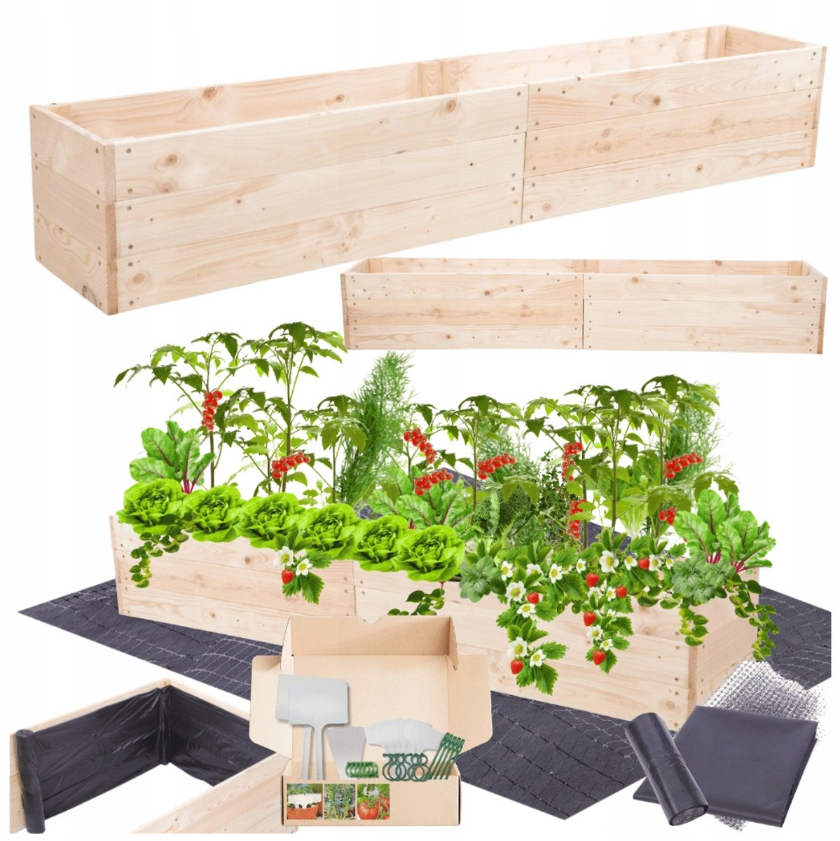 Houten kweekschaal Groenteschaal 27x237x30 cm - Inclusief tuinmansset