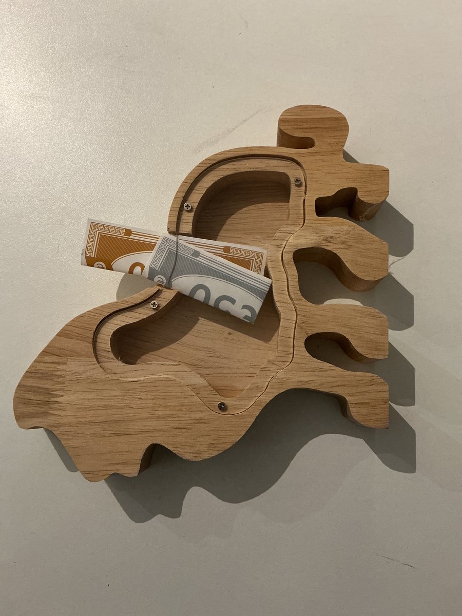 SPAARPOT HOUT LEEUW