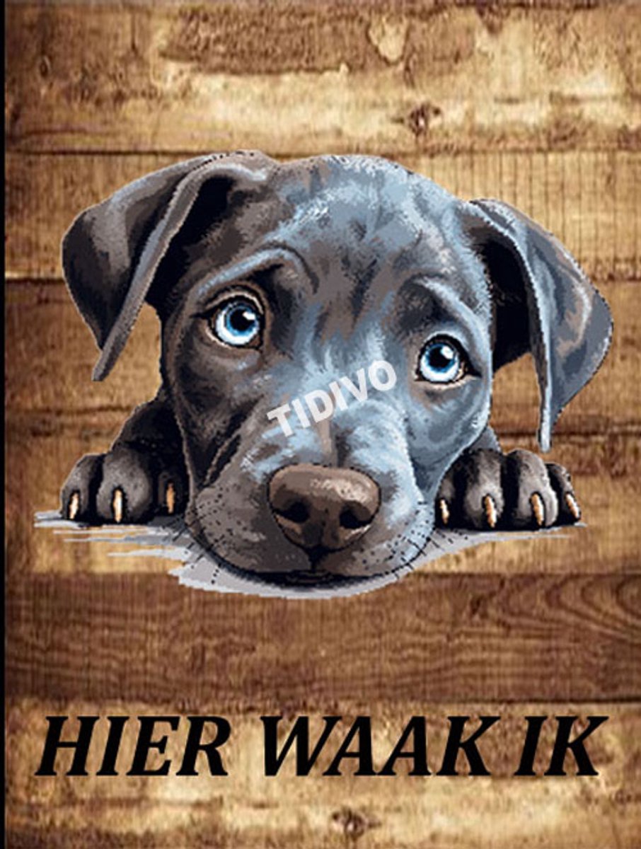 Blue Lacy 20