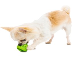 Nobleza Honden snackbal - Hondenbal snoepjeshouder - Rubber - Groen