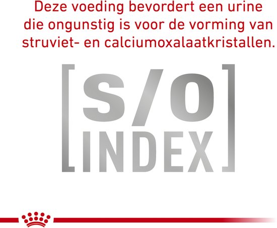 Royal Canin Urinary S/O - Kattenvoer Brokjes - 6 kg - Veterinary Diet