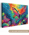 Requin - Coloré