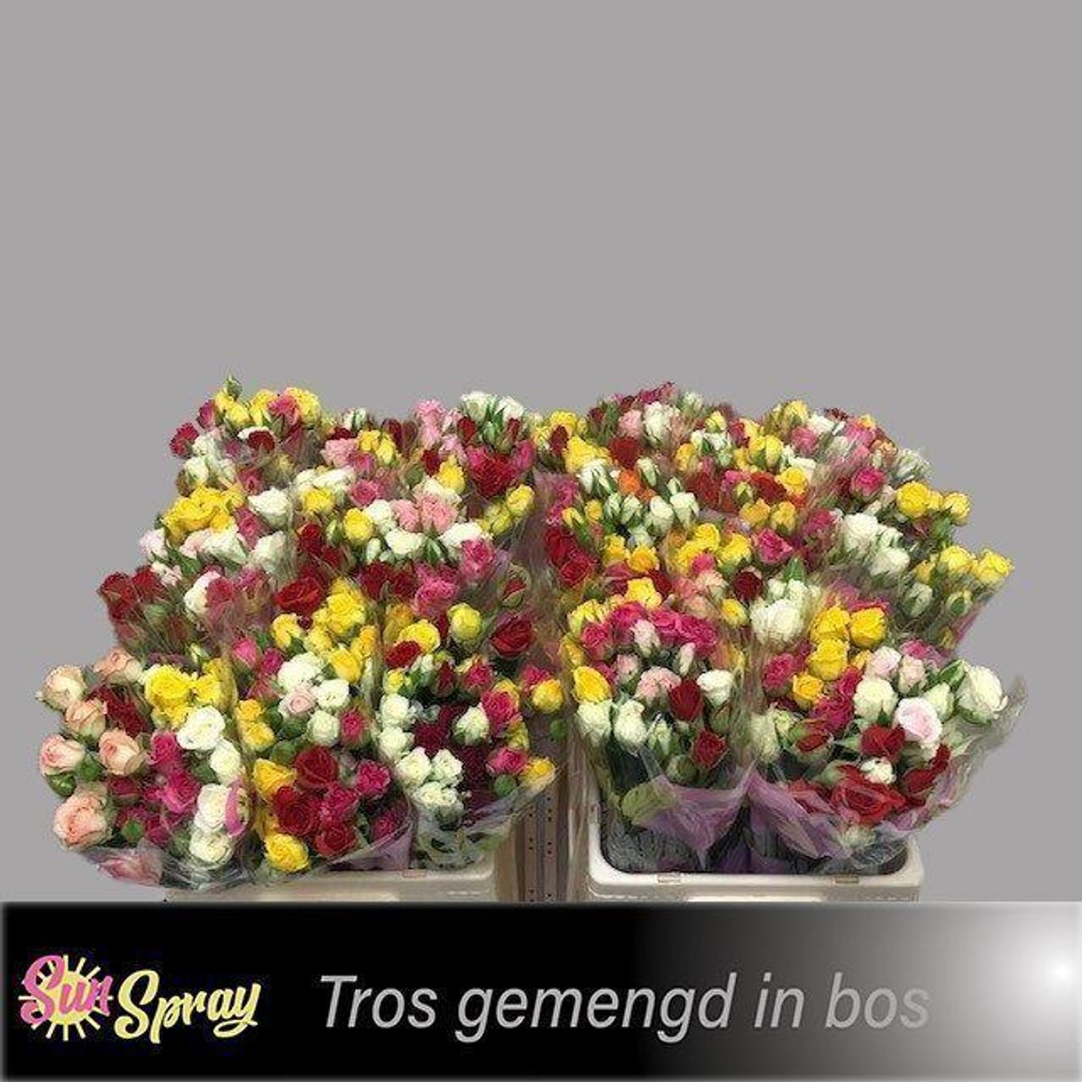 10x Rosa mix/bos 40cm