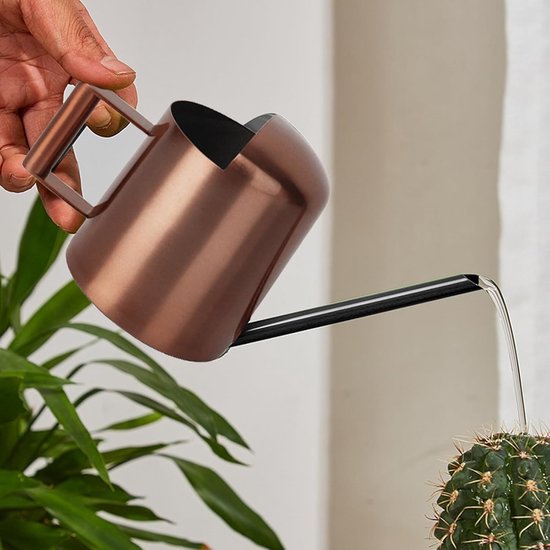XTDMJ 350 ml zwarte gieter kleine kamerplanten, mini-gieter van roestvrij staal, lange uitloop, gieter, tuingieter voor kamerplanten, vetplanten, met afdekking XTDMJ 350 ml zwarte gieter kleine kamerplanten, mini-gieter van roestvrij staal, lange uitloop, gieter, tuingieter voor kamerplanten, vetplanten, met afdekking