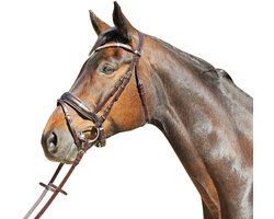 Euroriding Hoofdstel Patent Versailles Pony Bruin