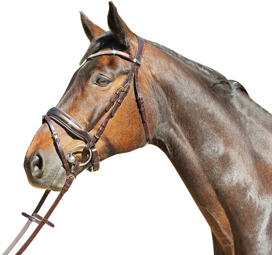 Euroriding Hoofdstel Patent Versailles Pony Bruin Euroriding Hoofdstel Patent Versailles Pony Bruin