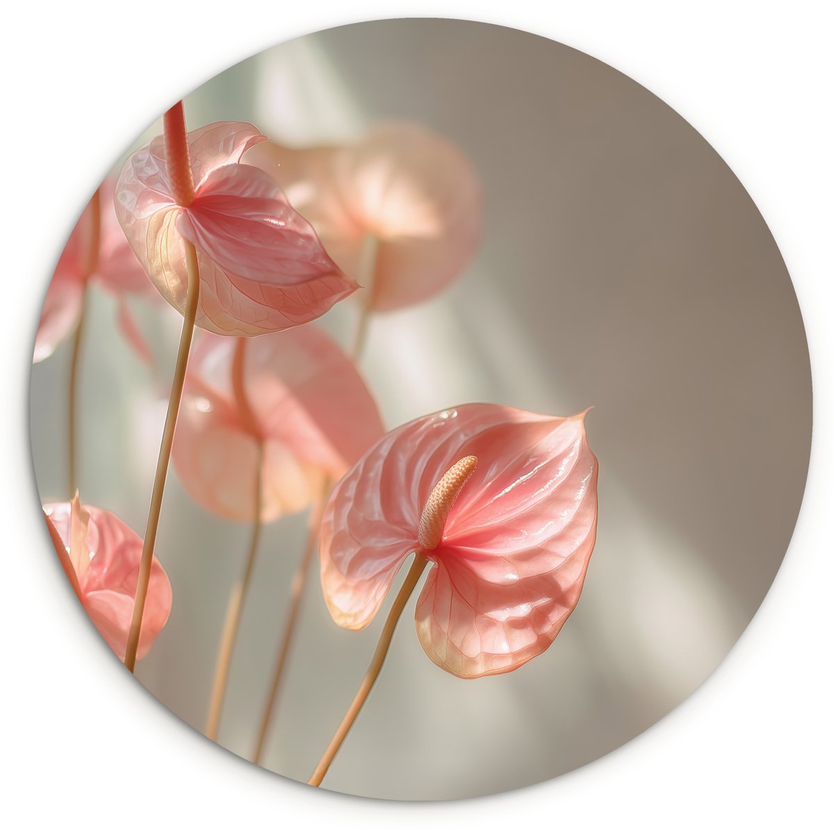 WallCircle Wandcirkel 150x150 cm - Muurcirkel Bloemen - Stelen - Roze - Schaduw - Muurdecoratie woonkamer - Wanddecoratie slaapkamer - Kamer decoratie accessoires - Ronde schilderijen