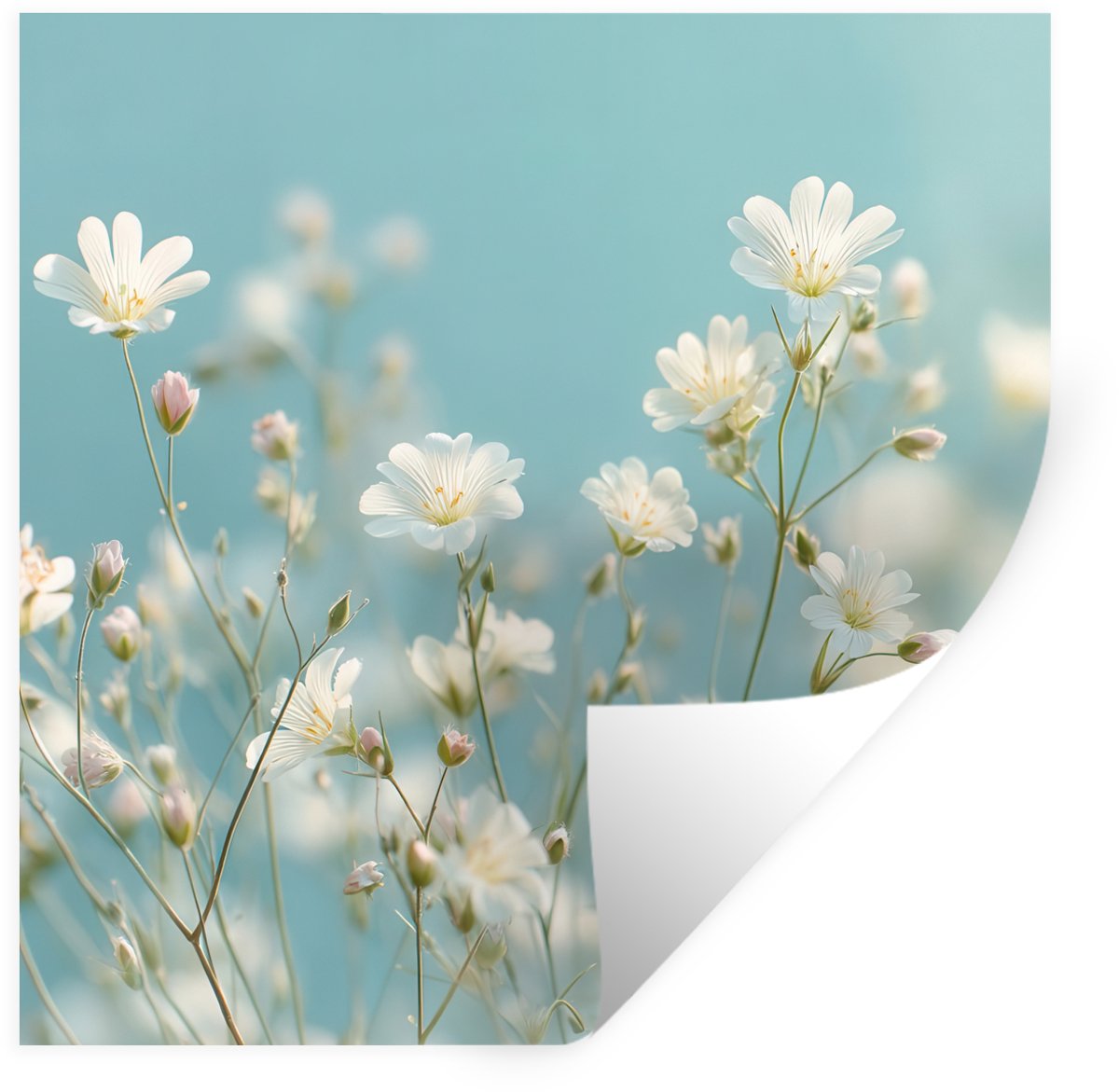 Muurstickers - Sticker Folie - Stengels - Bloemen - Lucht - Wit - 100x100 cm - Plakfolie -