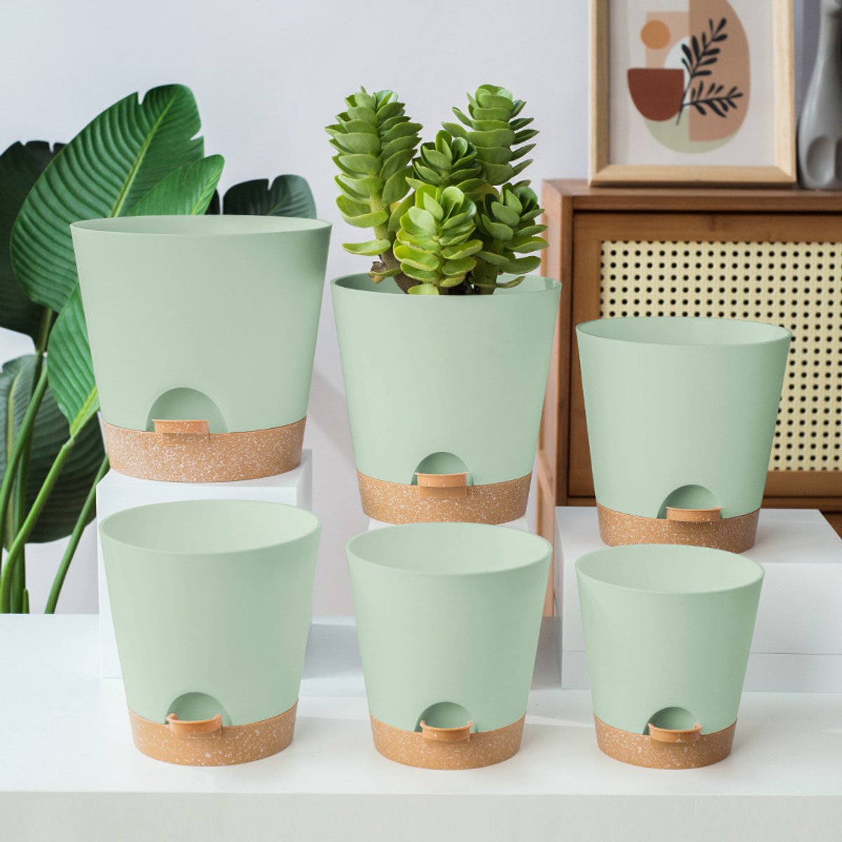 Plantenbakken - Zelfbewaterende vetplantenbakken - Set van 6